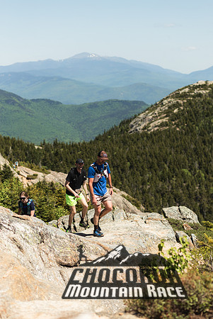 White Mountain Endurance x Aravaipa