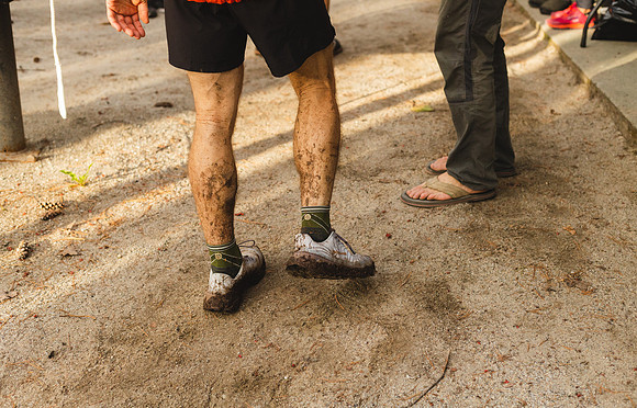 White Mountain Endurance x Aravaipa