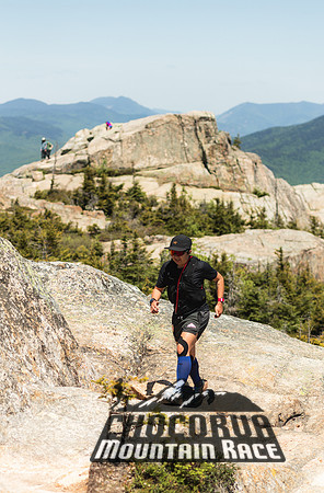 White Mountain Endurance x Aravaipa