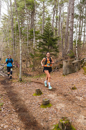 White Mountain Endurance x Aravaipa
