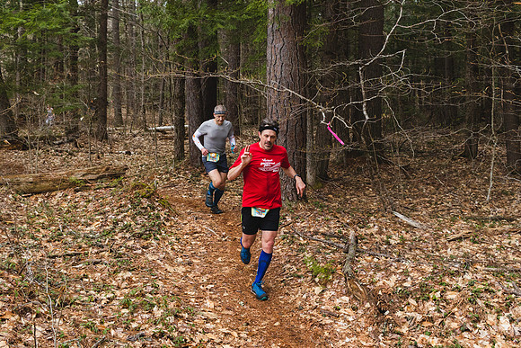 White Mountain Endurance x Aravaipa