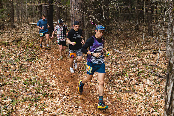 White Mountain Endurance x Aravaipa