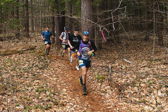 White Mountain Endurance x Aravaipa