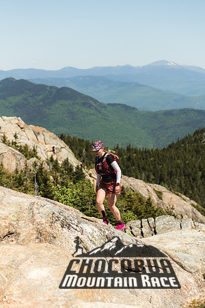 White Mountain Endurance x Aravaipa