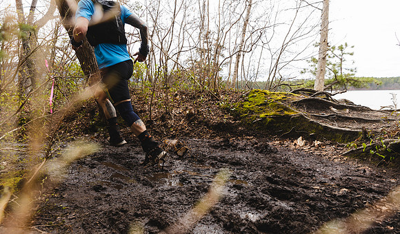 White Mountain Endurance x Aravaipa