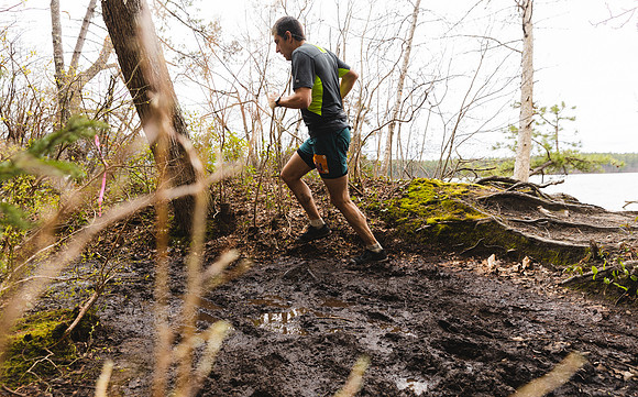 White Mountain Endurance x Aravaipa