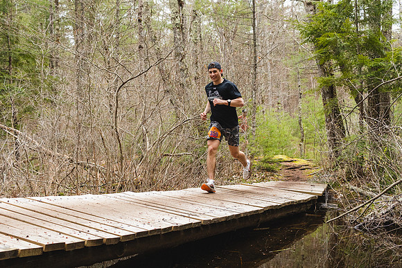 White Mountain Endurance x Aravaipa
