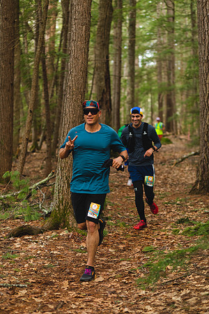 White Mountain Endurance x Aravaipa