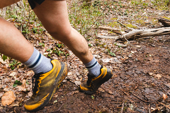White Mountain Endurance x Aravaipa