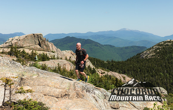 White Mountain Endurance x Aravaipa