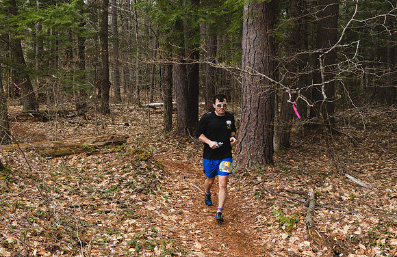 White Mountain Endurance x Aravaipa