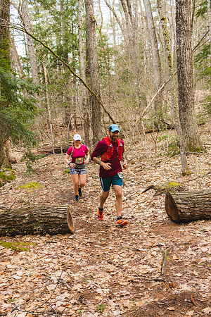 White Mountain Endurance x Aravaipa