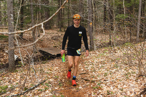 White Mountain Endurance x Aravaipa