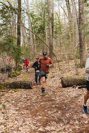 White Mountain Endurance x Aravaipa