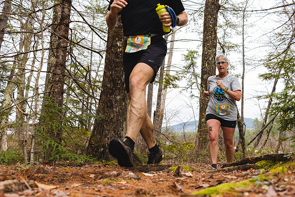 White Mountain Endurance x Aravaipa