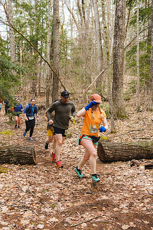 White Mountain Endurance x Aravaipa