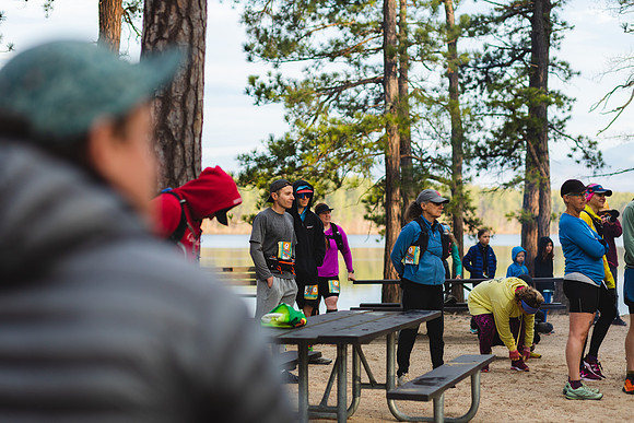 White Mountain Endurance x Aravaipa