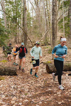 White Mountain Endurance x Aravaipa