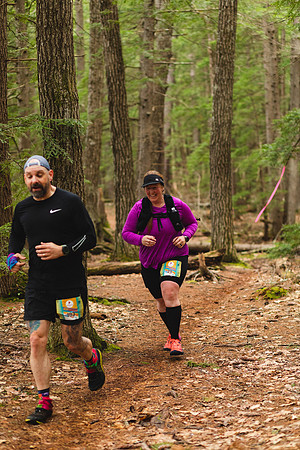 White Mountain Endurance x Aravaipa