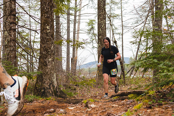 White Mountain Endurance x Aravaipa