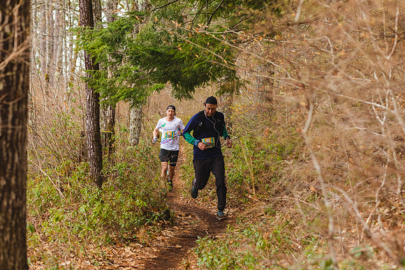 White Mountain Endurance x Aravaipa