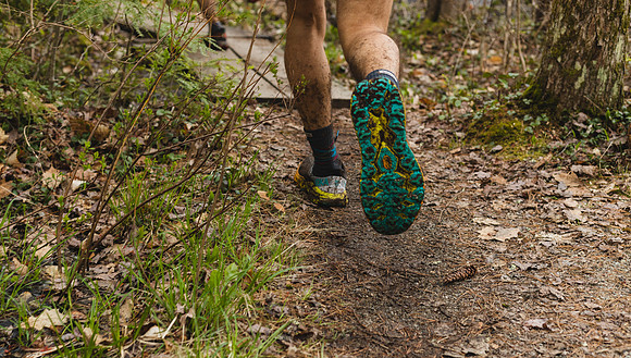 White Mountain Endurance x Aravaipa