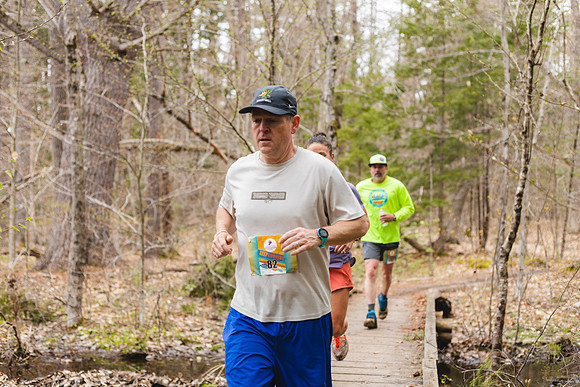 White Mountain Endurance x Aravaipa