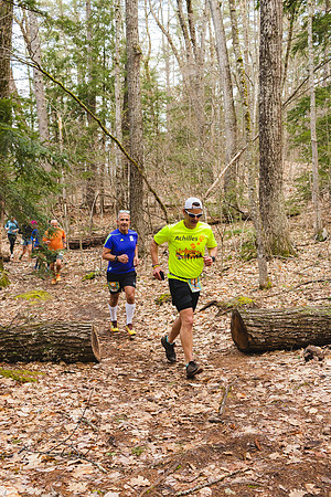 White Mountain Endurance x Aravaipa
