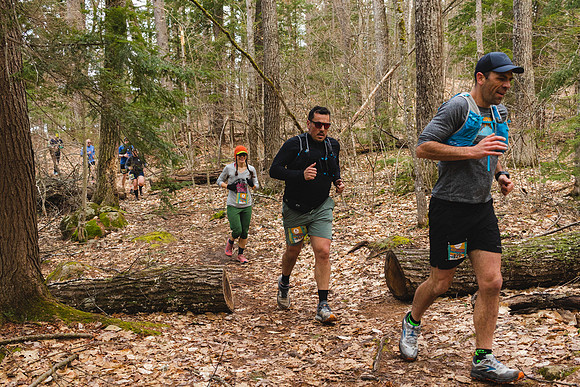 White Mountain Endurance x Aravaipa