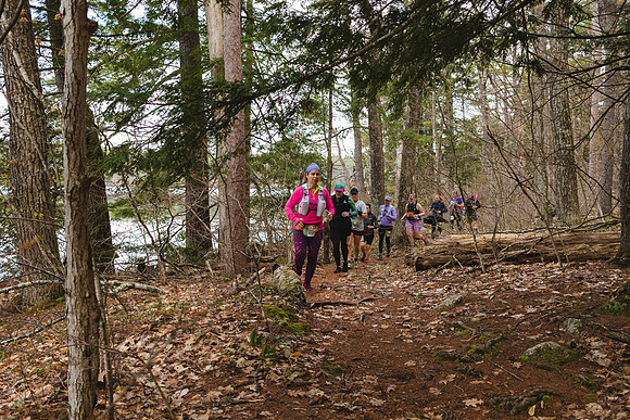 White Mountain Endurance x Aravaipa