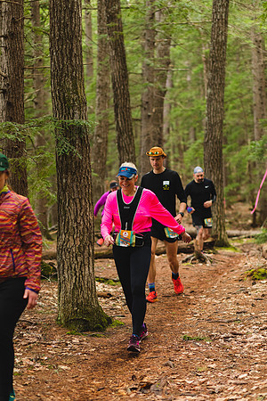 White Mountain Endurance x Aravaipa