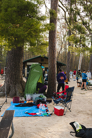 White Mountain Endurance x Aravaipa