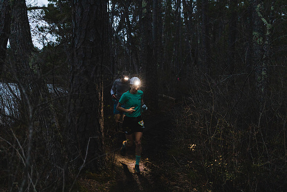 White Mountain Endurance x Aravaipa