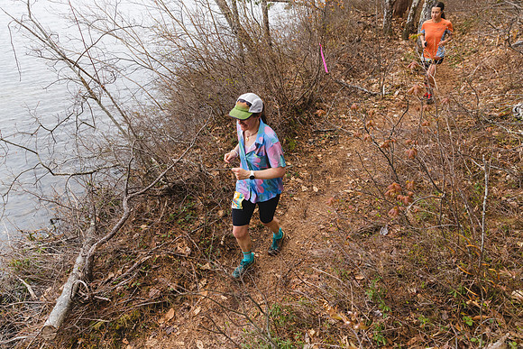 White Mountain Endurance x Aravaipa