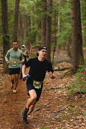 White Mountain Endurance x Aravaipa