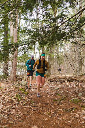 White Mountain Endurance x Aravaipa