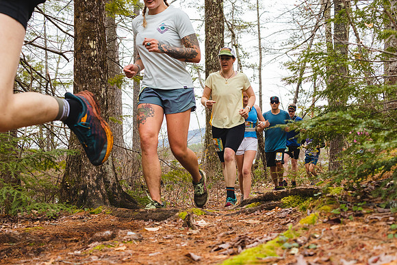 White Mountain Endurance x Aravaipa
